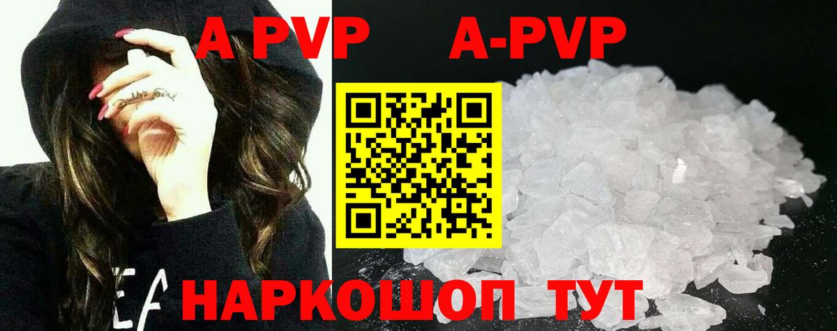 APVP СК Ишим