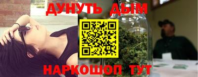 тгк Кудрово