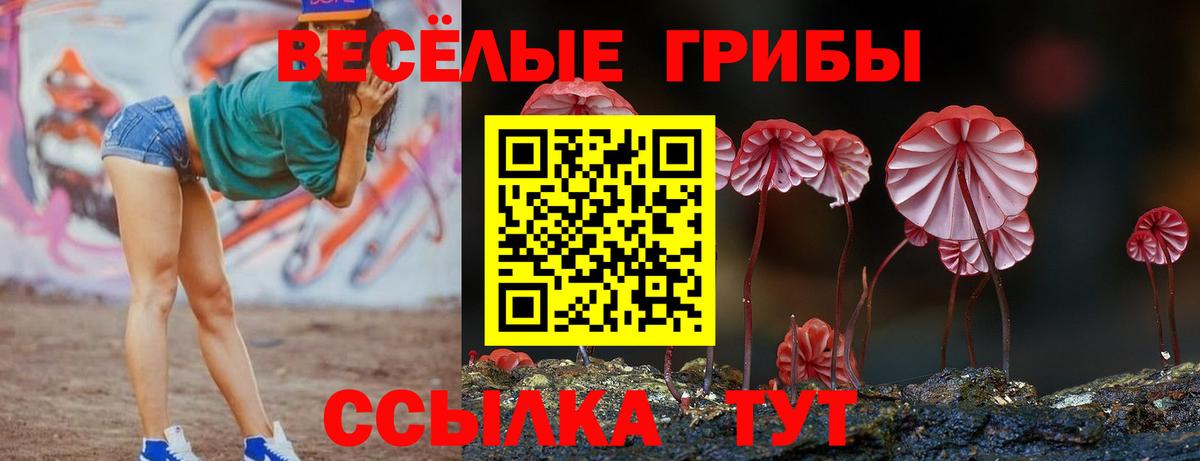 Ишим  Галлюциногенные грибы Psilocybe  Галлюциногенные грибы прущие грибы  Вход с VPN 